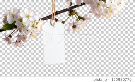 Pink cherry blossom branches in full bloom create a beautiful natural spring landscape, adorned with cherry blossom patterns against a white background. 135980770