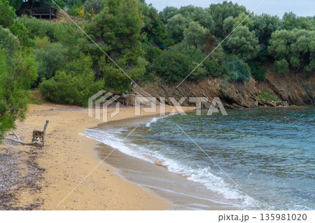 a small fishing boat on the beach. Sandy beach with gentle waves and green trees near a rocky shore in a calm location during the daytime a small fishing boat on the beach. Sandy beach with gentle waves and green trees near a rocky shore in a calm location during the daytime 135981020