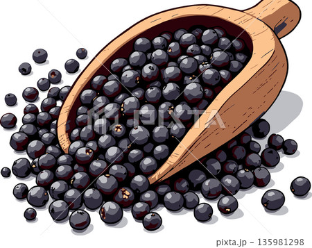 Vsai dried juniper berries spilling from wooden scoop on white background Vsai dried juniper berries spilling from wooden scoop on white background 135981298