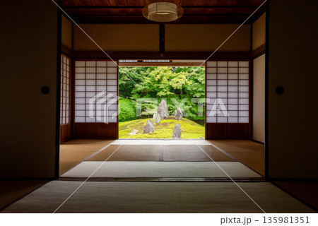 和室から眺める日本庭園のイメージ 135981351