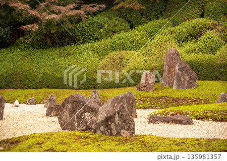 和室から眺める日本庭園のイメージ 和室から眺める日本庭園のイメージ 135981357