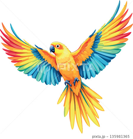 Colorful parrot flying with wide open wings 135981365