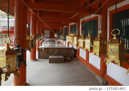 春日大社　奈良県　奈良市　春日野町 135981461