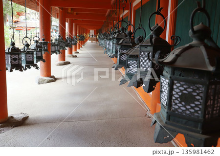 春日大社　奈良県　奈良市　春日野町 135981462