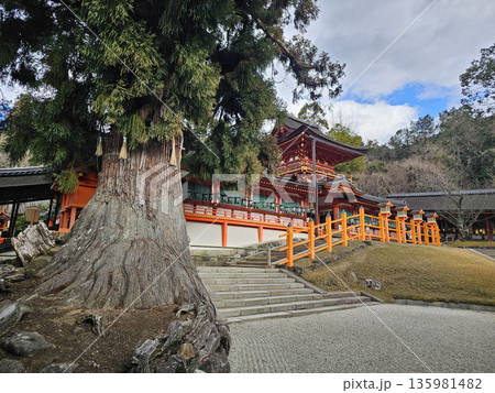春日大社　奈良県　奈良市　春日野町 135981482