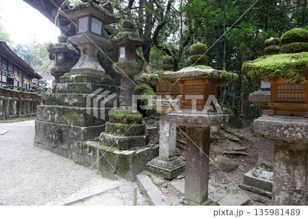春日大社 奈良県 奈良市 春日野町 春日大社 奈良県 奈良市 春日野町 135981489