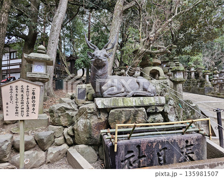 春日大社 奈良県 奈良市 春日野町 春日大社 奈良県 奈良市 春日野町 135981507