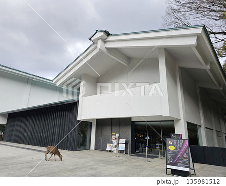 春日大社　奈良県　奈良市　春日野町 135981512