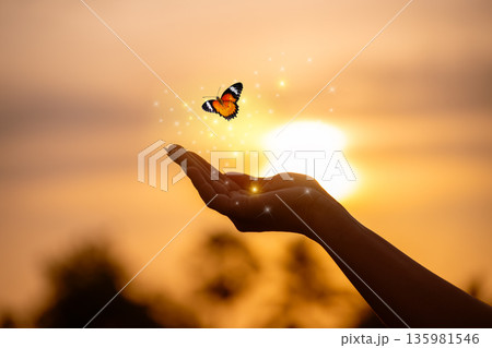 Butterfly Resting on Finger Tip Against Golden Sunset Sky. Butterfly resting finger tip hand touch freedom inspiration nature concept hope serenity golden sunset sunrise silhouette sky background anim 135981546