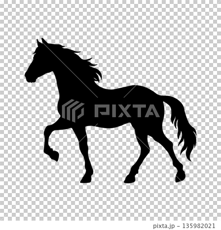 black silhouette of a horse without background 135982021