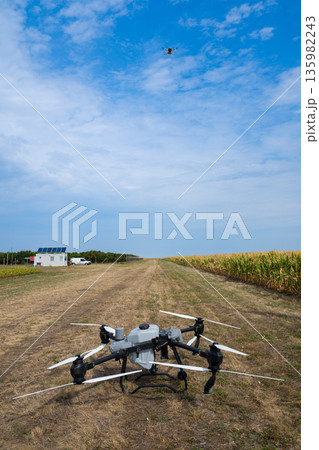 Drones operate over a rural cornfield with a ground drone on the path and an aerial drone in a clear blue sky Drones operate over a rural cornfield with a ground drone on the path and an aerial drone in a clear blue sky 135982243