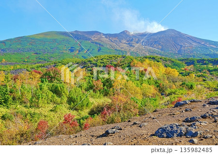 十勝岳望岳台の絶景 135982485