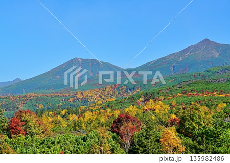 十勝岳望岳台の絶景 十勝岳望岳台の絶景 135982486