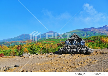 十勝岳望岳台の絶景 135982505