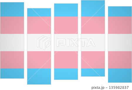 Flag of the transgender. LGBTQ. A design featuring vertical panels in a modular perspective 135982837