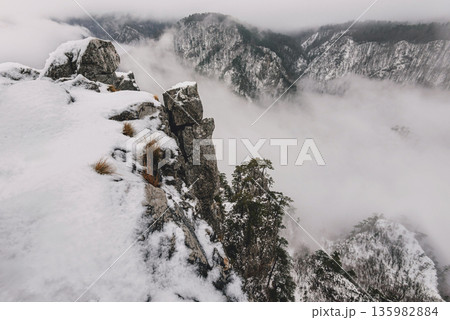 Sokolarica Viewpoint in Tara National Park Sokolarica Viewpoint in Tara National Park 135982884