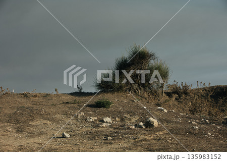 Abstract close-up of sand ripples on a beach in Vlora, Albania, captured on August  2025. Warm sunset light creates soft golden highlights and contrasting shadows, forming natural patterns  135983152