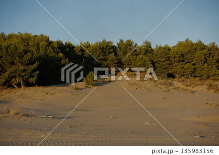 Abstract close-up of sand ripples on a beach in Vlora, Albania, captured on August  2025. Warm sunset light creates soft golden highlights and contrasting shadows, forming natural patterns  135983156