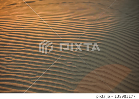 Abstract close-up of sand ripples on a beach in Vlora, Albania, captured on August  2025. Warm sunset light creates soft golden highlights and contrasting shadows, forming natural patterns  135983177