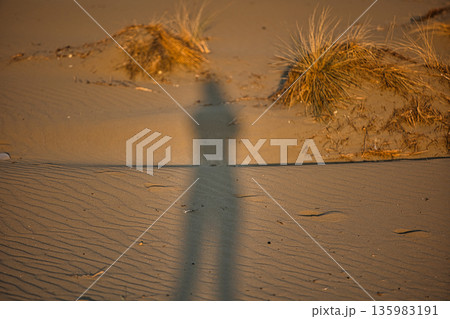Abstract close-up of sand ripples on a beach in Vlora, Albania, captured on August  2025. Warm sunset light creates soft golden highlights and contrasting shadows, forming natural patterns  135983191