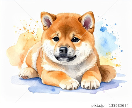 水彩画　柴犬 135983654