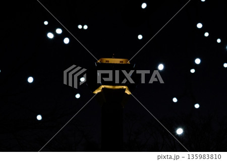 夜空に輝く五稜郭タワー 135983810