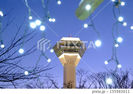 夜空に輝く五稜郭タワー 135983811