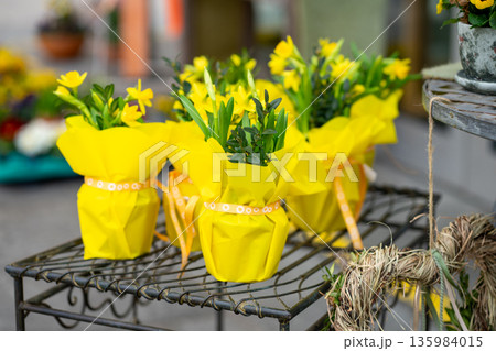 View of pots with daffodils planted in them and decorated in yellow paper. 135984015