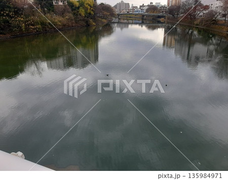 水面に映る紅葉 135984971