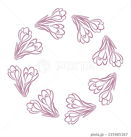 Wreath with crocus flower with leaf in line art style. Floral frame for spring design, greeting card and nature theme isolated on white background. 135985167