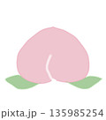 シンプルな桃のイラスト 135985254