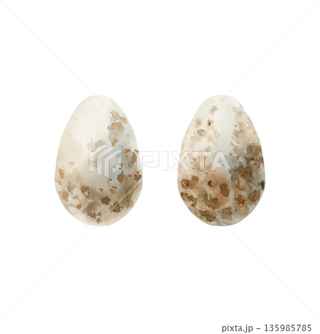 Bird eggs brown spotted. Watercolor hand drawn illustration isolated on white background for Easter spring design cottagecore decor card poster print home textile postcard poster sticker 135985785