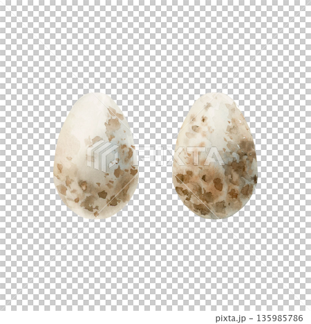 Bird eggs brown spotted. Watercolor hand drawn illustration isolated on white background for Easter spring design cottagecore decor card poster print home textile postcard poster sticker 135985786
