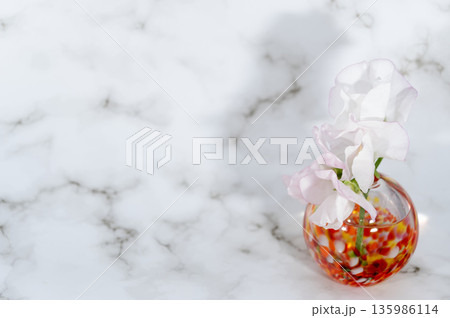 ガラスの暖色一輪挿しに挿したスイートピー(右配置) 135986114