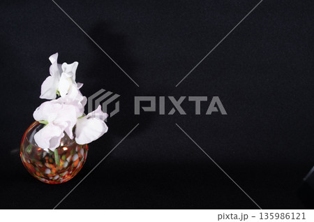 黒背景で暖色ガラスの一輪挿しのスイートピー(左配置) 135986121