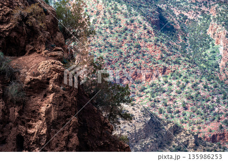 Stunning landscape view of rocky terrain and lush greenery in Morocco's mountains Stunning landscape view of rocky terrain and lush greenery in Morocco's mountains 135986253
