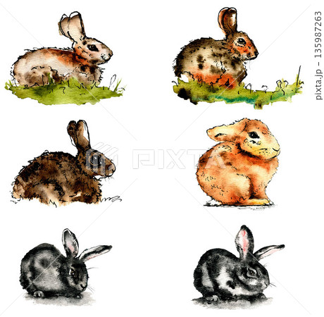 Watercolor set of rabbitsのイラスト素材 [135987263] - PIXTA