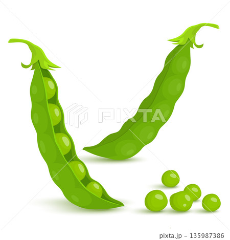 Green pea. Green peas pods isolated on white background, vector flat style Green pea. Green peas pods isolated on white background, vector flat style 135987386