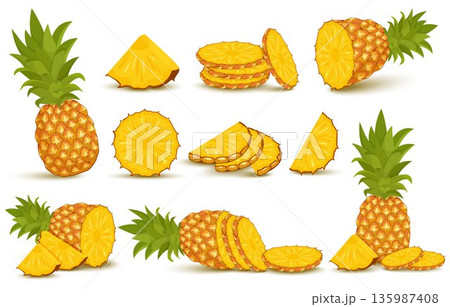 Pineapple set. Pineapple collection. Whole and sliced pineapple isolated on white background with clipping path 135987408