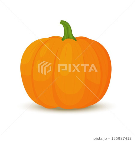 Pumpkin icon in flat style. Isolated object. Pumpkin logo. Vegetable from the farm. Organic food. Vector illustration. Pumpkin icon in flat style. Isolated object. Pumpkin logo. Vegetable from the farm. Organic food. Vector illustration. 135987412