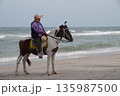 Horse on the seashore.One white horse with a rider stands on the seashore. 135987500