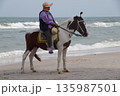 One white horse with a rider stands on the seashore.Horse on the seashore. 135987501