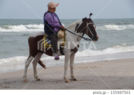 One white horse with a rider stands on the seashore.Horse on the seashore. One white horse with a rider stands on the seashore.Horse on the seashore. 135987501