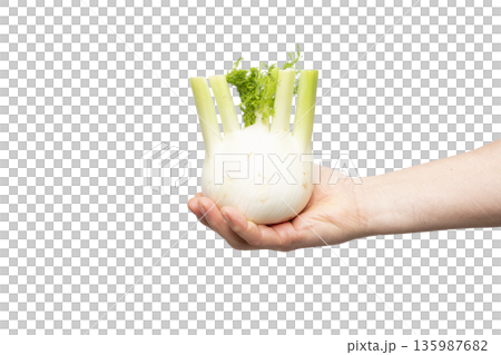 a fennel a fennel 135987682