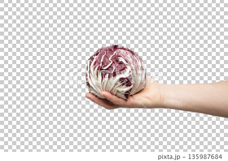 a head of red radicchio a head of red radicchio 135987684