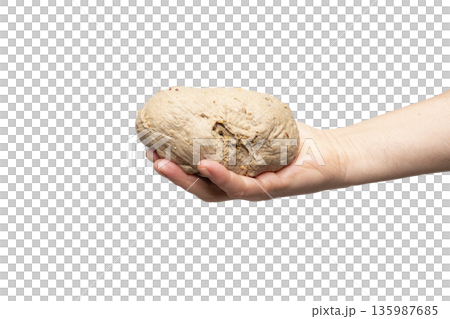 whole wheat pizza dough whole wheat pizza dough 135987685