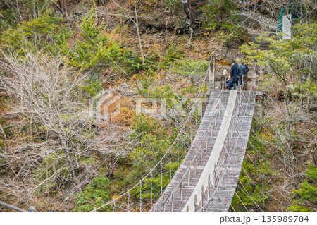 川根本町にある寸又峡の夢のつり橋の風景(静岡県) 135989704
