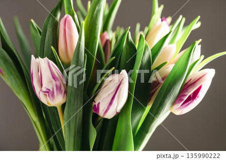 Spring floral background. Fresh tulips flowers bouquet. Dark moody. Mother's day. Macro photography Spring floral background. Fresh tulips flowers bouquet. Dark moody. Mother's day. Macro photography 135990222