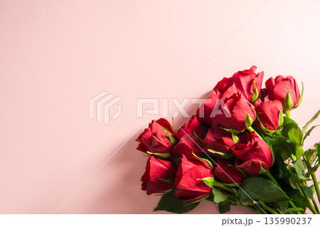 Valentine's Day background. Red roses flower bouquet over pink background. Abstract flat lay. Celebrate, festive greeting card. Valentine's Day background. Red roses flower bouquet over pink background. Abstract flat lay. Celebrate, festive greeting card. 135990237