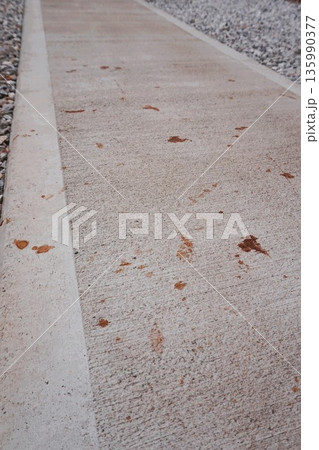 サトイモ 里芋 八頭 八つ頭 汁 ポリフェノール アントシアニン シミ コンクリート サトイモ 里芋 八頭 八つ頭 汁 ポリフェノール アントシアニン シミ コンクリート 135990377